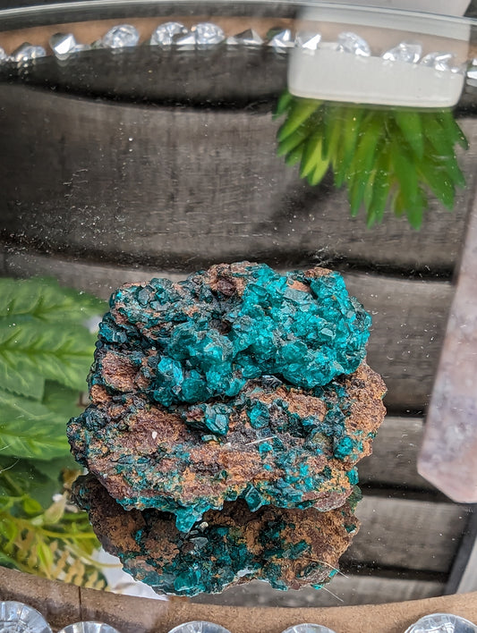 RARE Dioptase Cluster | Emerald Brilliance