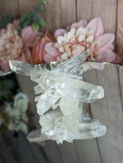 Stunning Sacred Lemurian Quartz Cluster