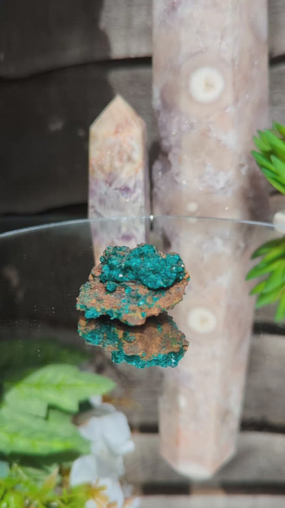 RARE Dioptase Cluster | Emerald Brilliance