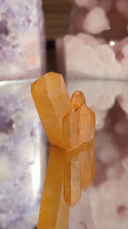 Tangerine Lemurian Seed | Peace & Clarity