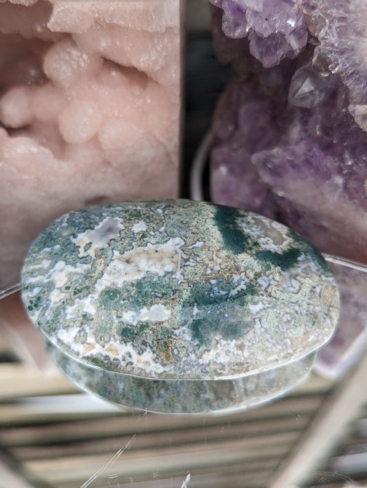 Moss Agate Palm Stone | Prosperity & Abundance