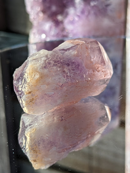 Rose Kissed Elestial Amethyst | Intuition & Protection