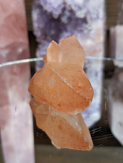 Tangerine Lemurian Seed | Energy Amplification