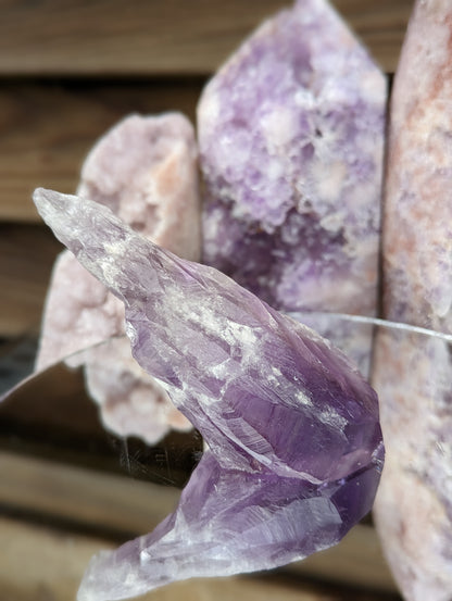 Amethyst Root | Clarity & Spiritual Growth