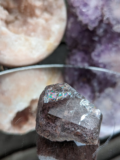 Rainbow Pink Lodolite | Intention Amplification