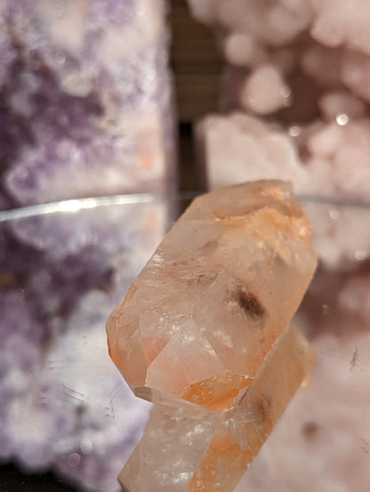 Dendritic Tangerine Lemurian | Vitality & Energy