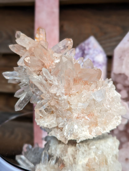 RARE Samadhi Himalayan Quartz| Manifestation & Positivity