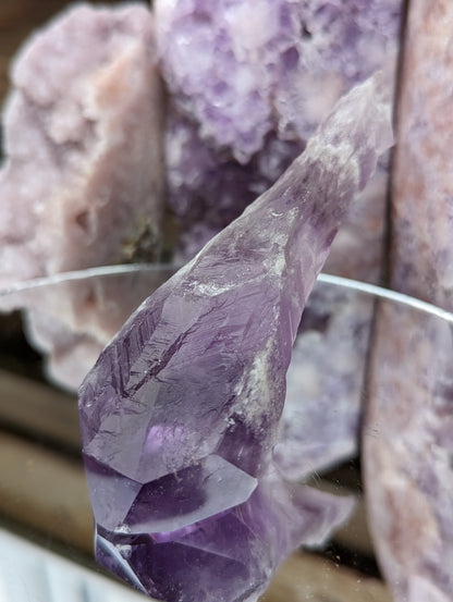 Amethyst Root | Clarity & Spiritual Growth