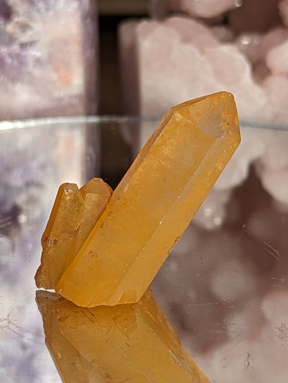 Tangerine Lemurian Seed | Peace & Clarity