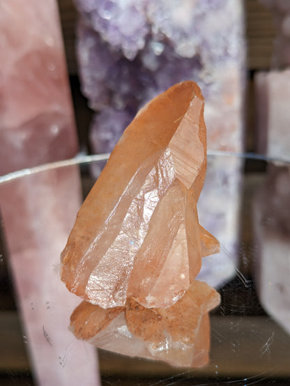 Tangerine Lemurian Seed | Energy Amplification