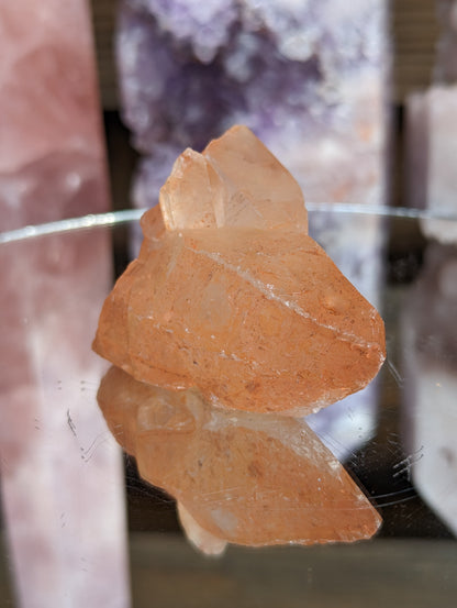 Tangerine Lemurian Seed | Energy Amplification